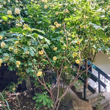 Lounge-style-hostel St. Veit an der Glan