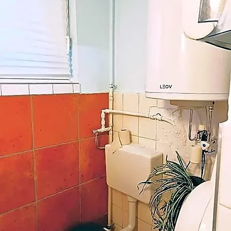 Lounge-style-hostel Hostel