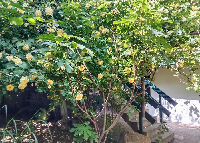 Lounge-style-hostel Sankt Veit an der Glan